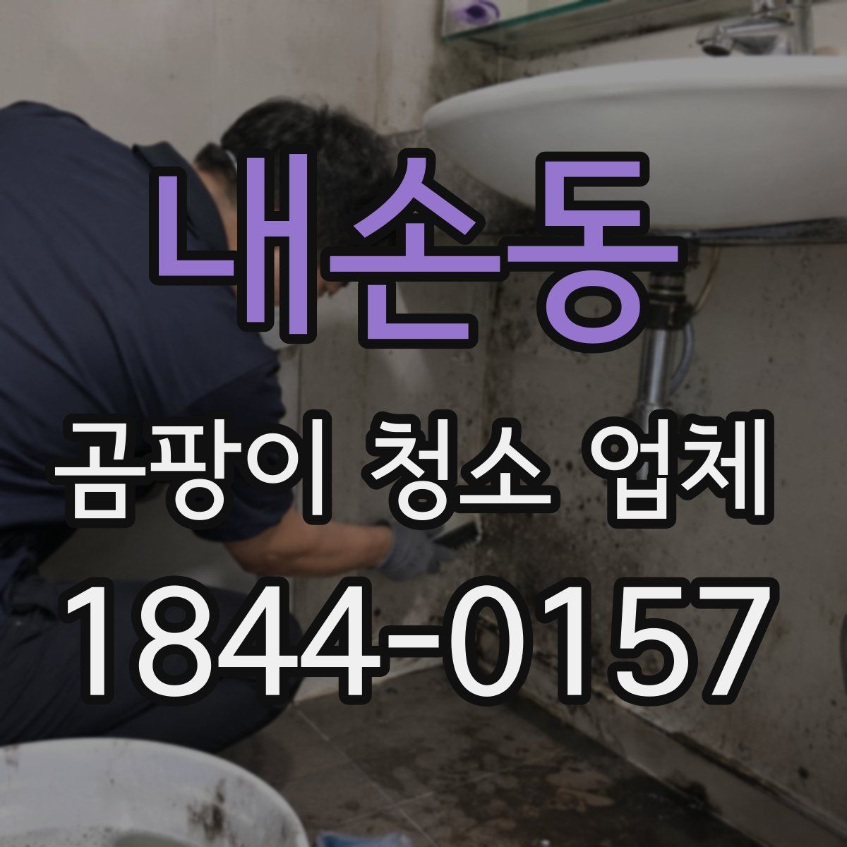 내손동 곰팡이 청소 업체