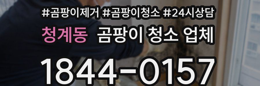청계동 곰팡이 청소 업체