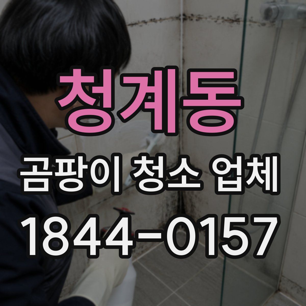 청계동 곰팡이 청소 업체