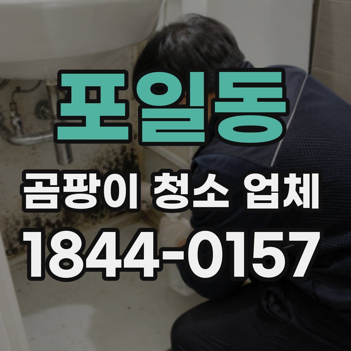 포일동 곰팡이 청소 업체
