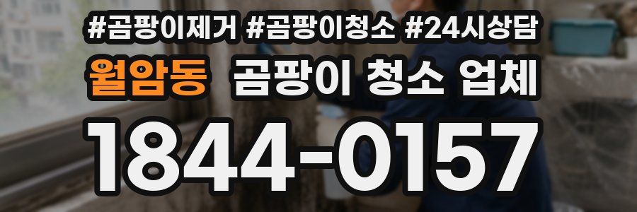 월암동 곰팡이 청소 업체