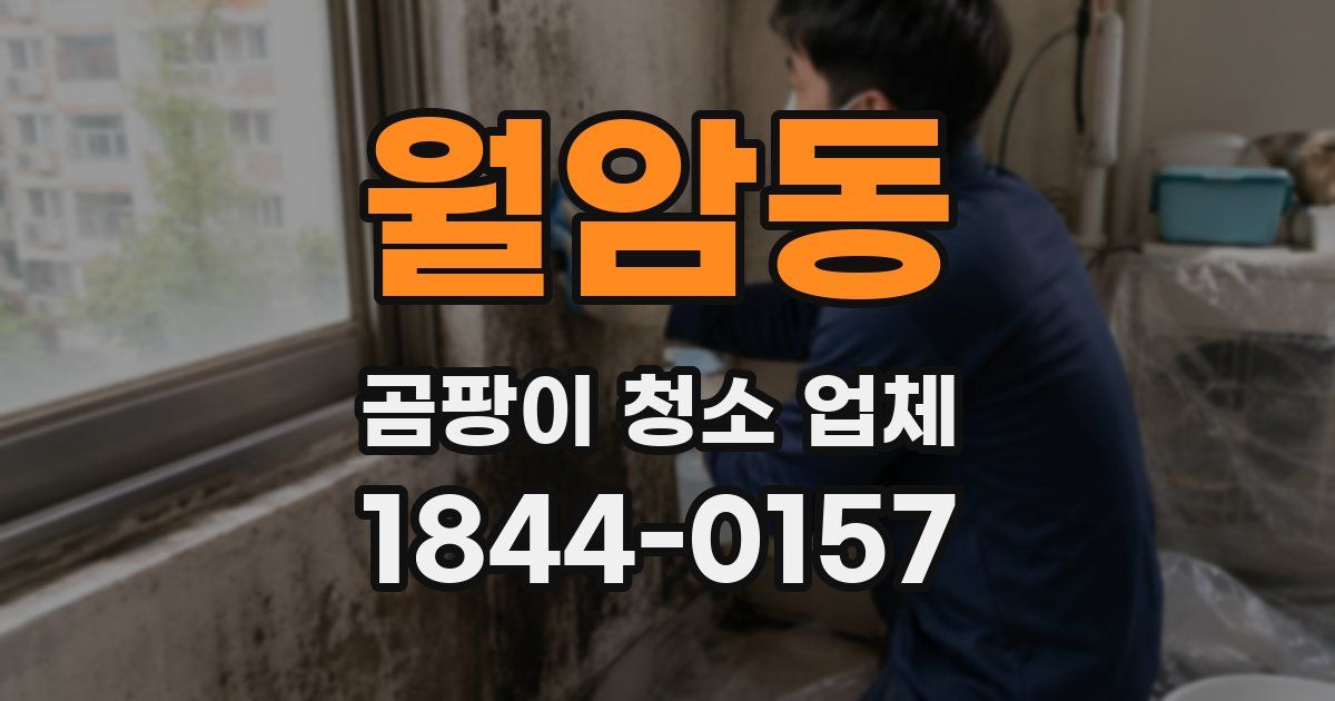 월암동 곰팡이 청소 업체