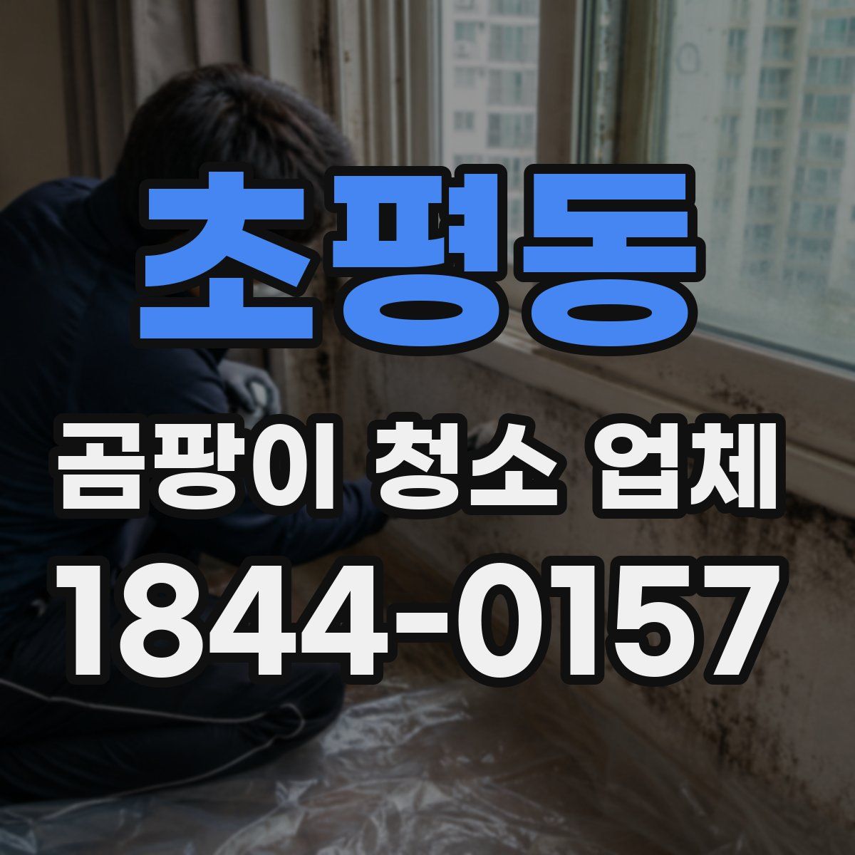 초평동 곰팡이 청소 업체