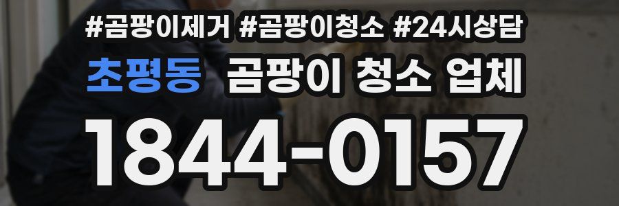 초평동 곰팡이 청소 업체