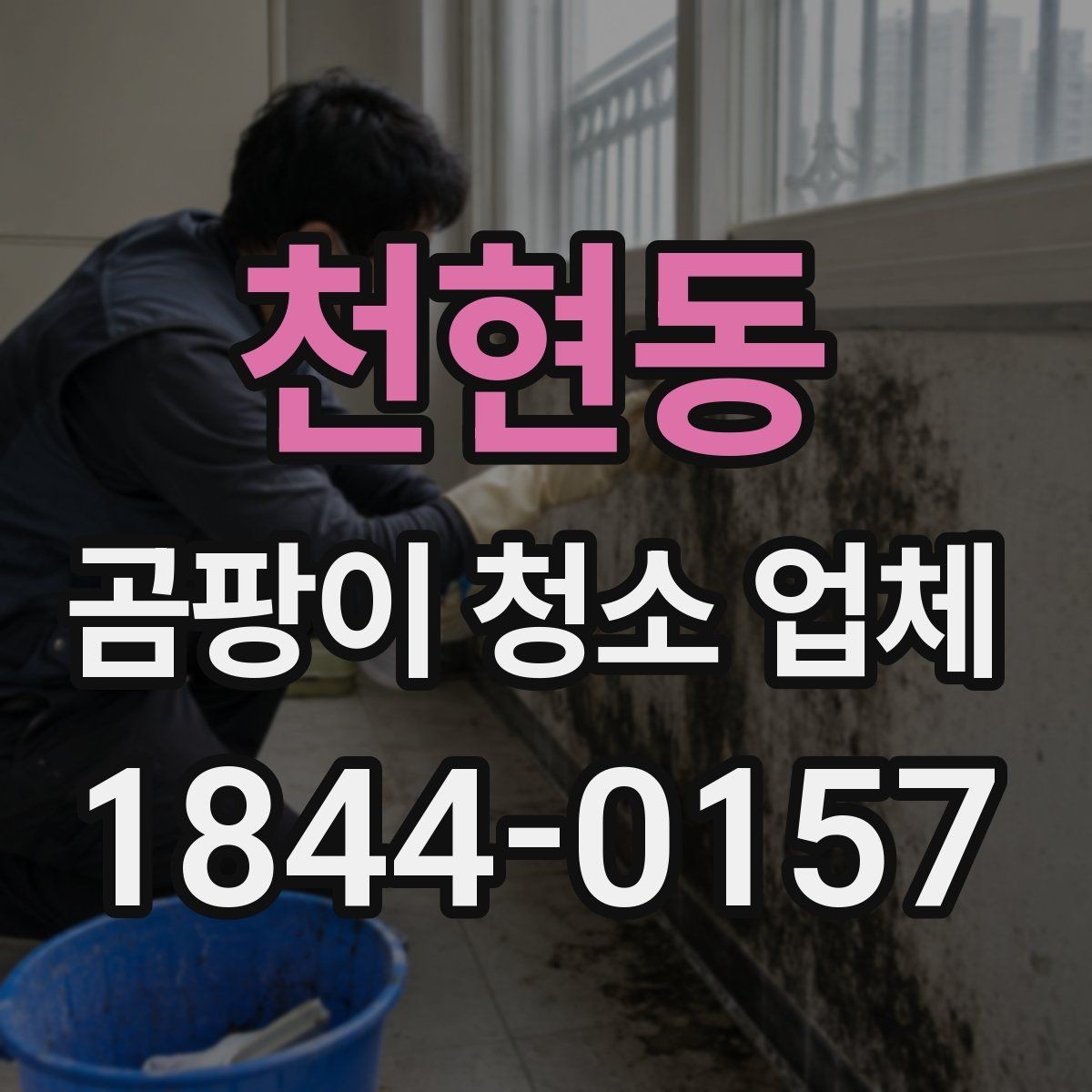천현동 곰팡이 청소 업체 결로와 곰팡이의 발생 원인을 구별하는 시각