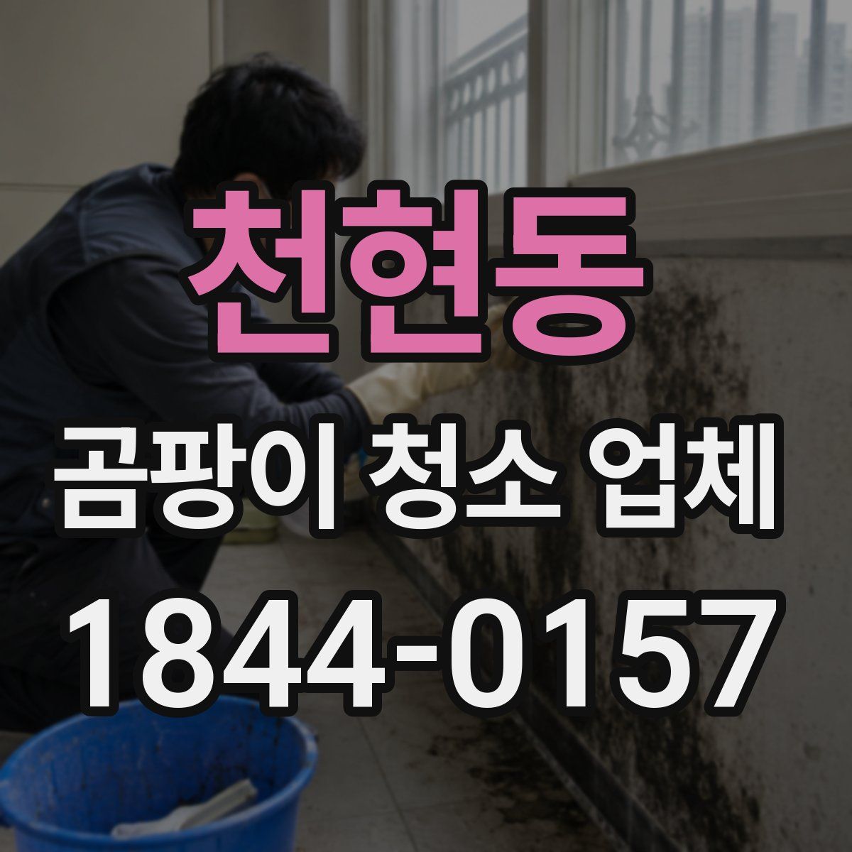 천현동 곰팡이 청소 업체