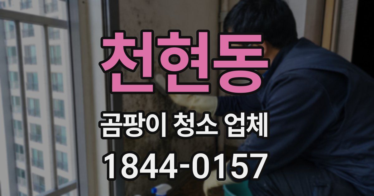 천현동 곰팡이 청소 업체