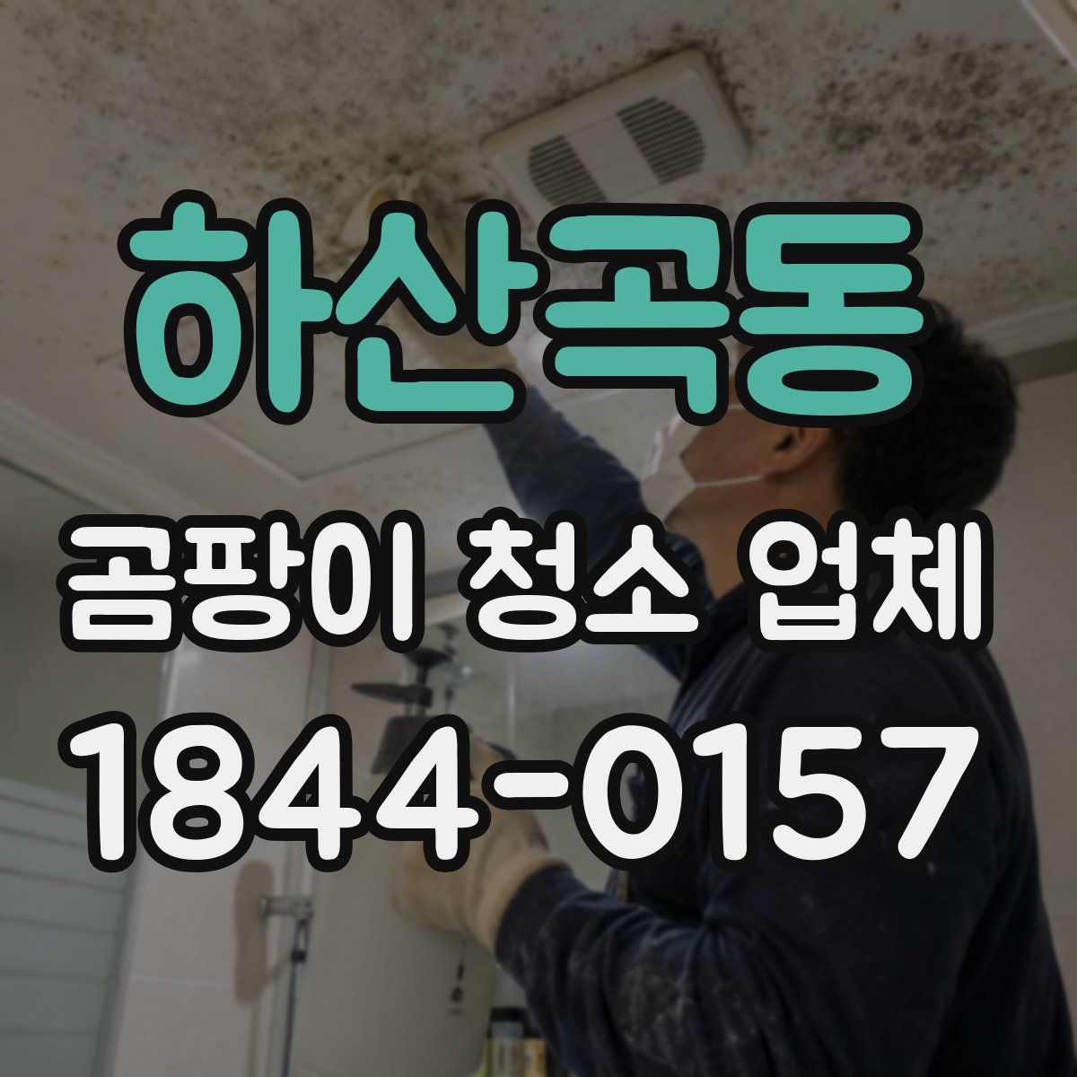 하산곡동 곰팡이 청소 업체