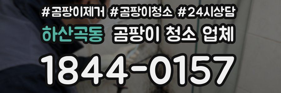 하산곡동 곰팡이 청소 업체