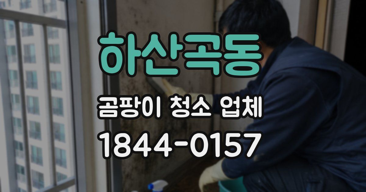 하산곡동 곰팡이 청소 업체