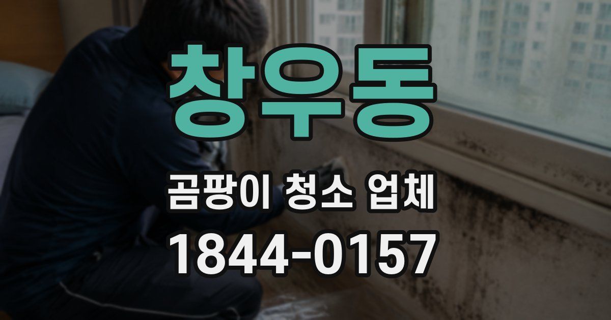 창우동 곰팡이 청소 업체