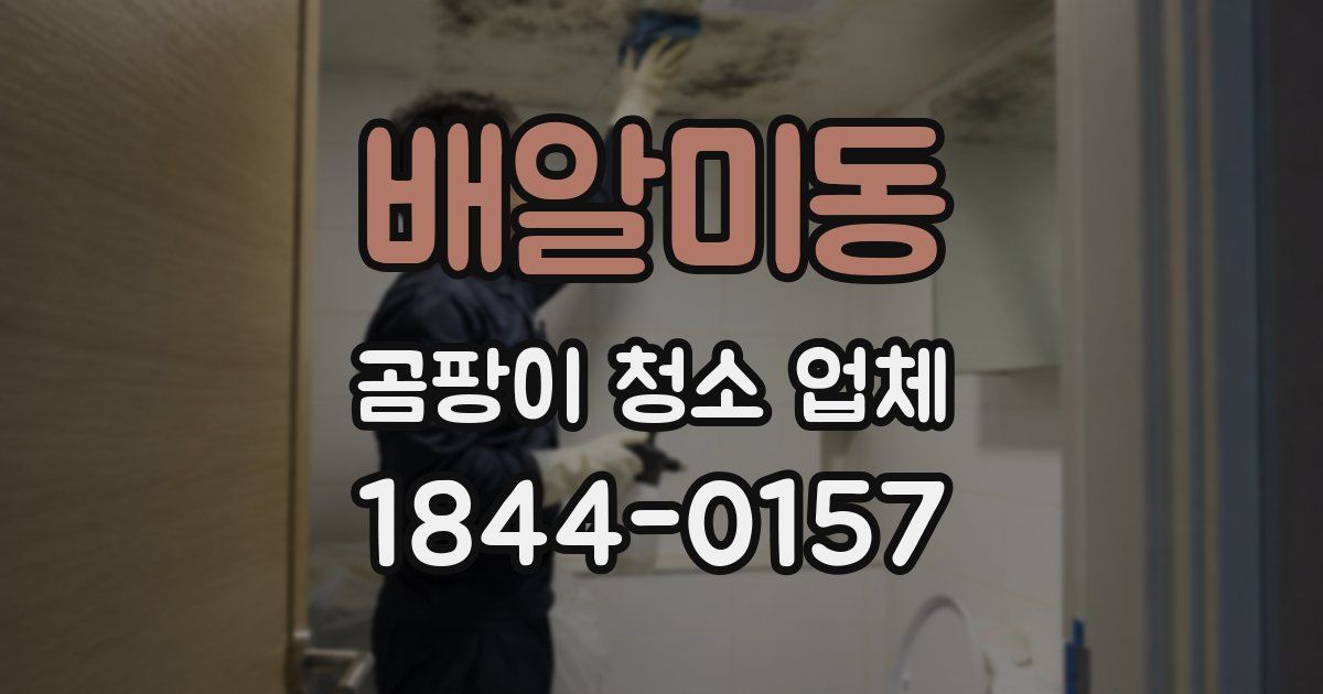 배알미동 곰팡이 청소 업체