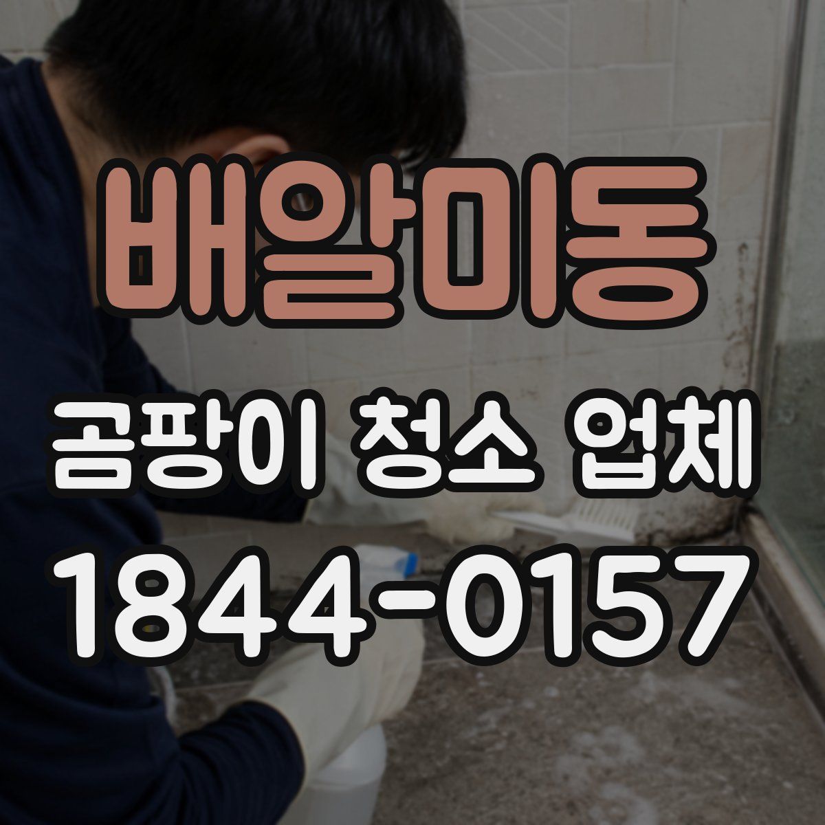 배알미동 곰팡이 청소 업체