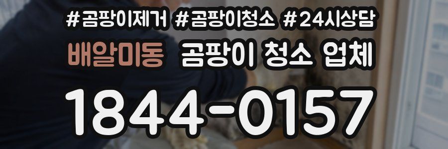 배알미동 곰팡이 청소 업체