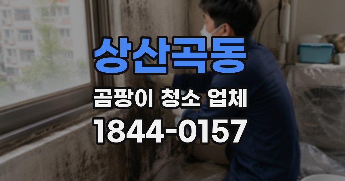 상산곡동 곰팡이 청소 업체