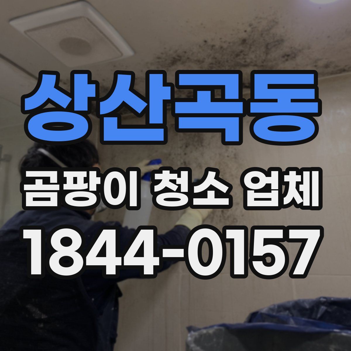 상산곡동 곰팡이 청소 업체