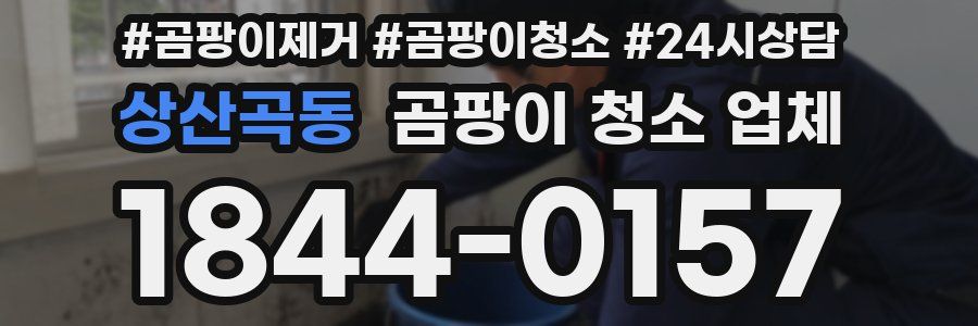 상산곡동 곰팡이 청소 업체