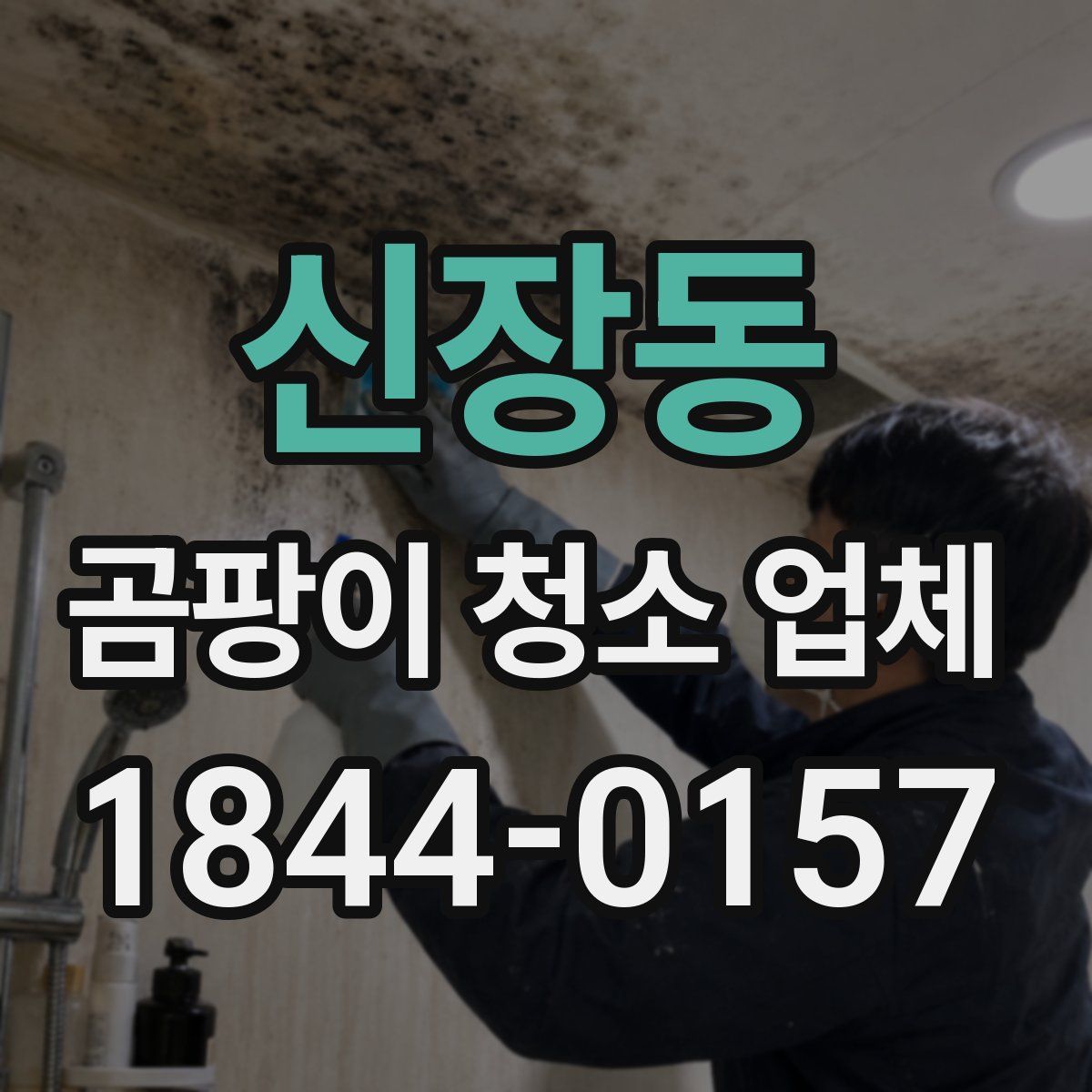 신장동 곰팡이 청소 업체