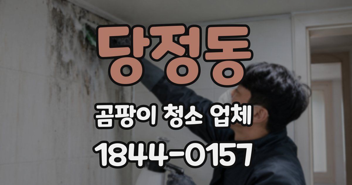 당정동 곰팡이 청소 업체