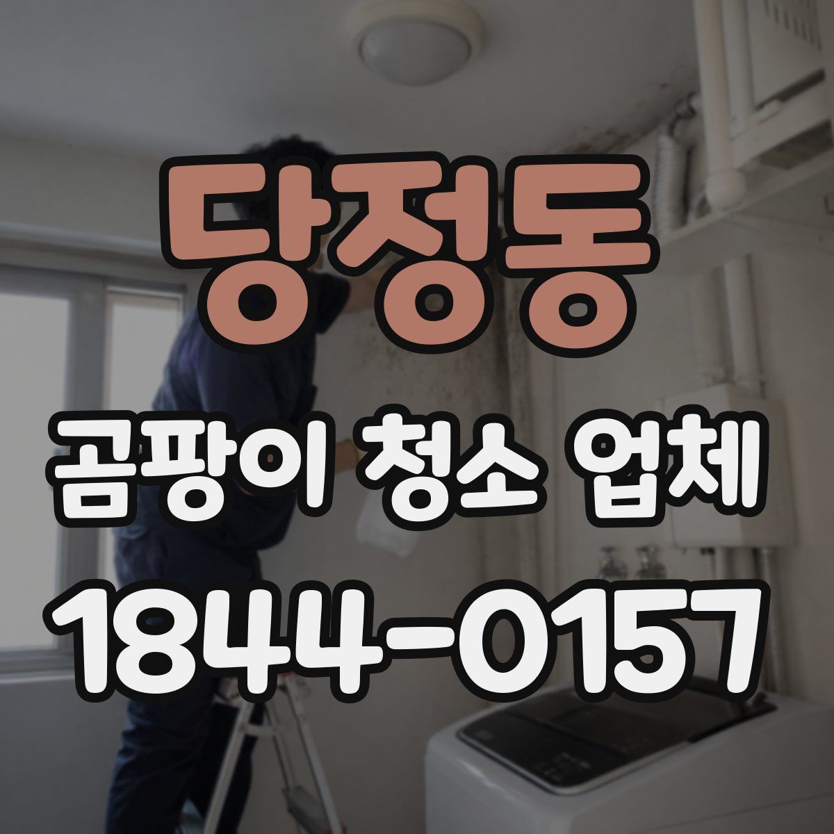 당정동 곰팡이 청소 업체