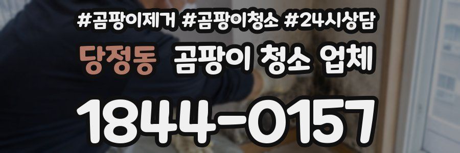 당정동 곰팡이 청소 업체