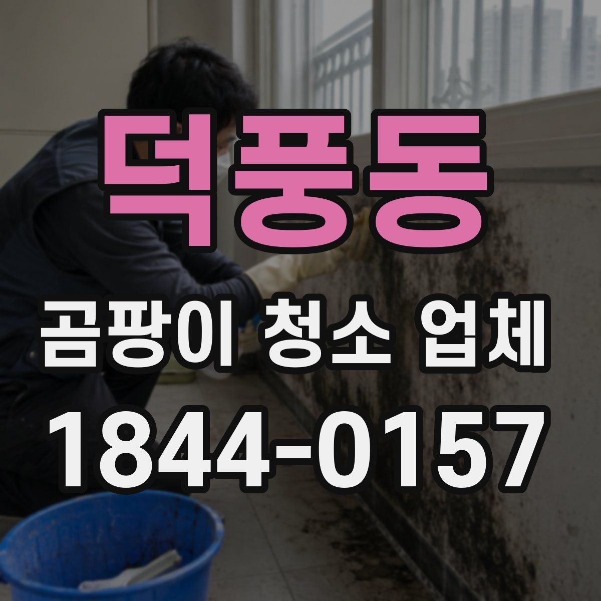 덕풍동 곰팡이 청소 업체 폐기물 수거와 정리 과정 알아보기