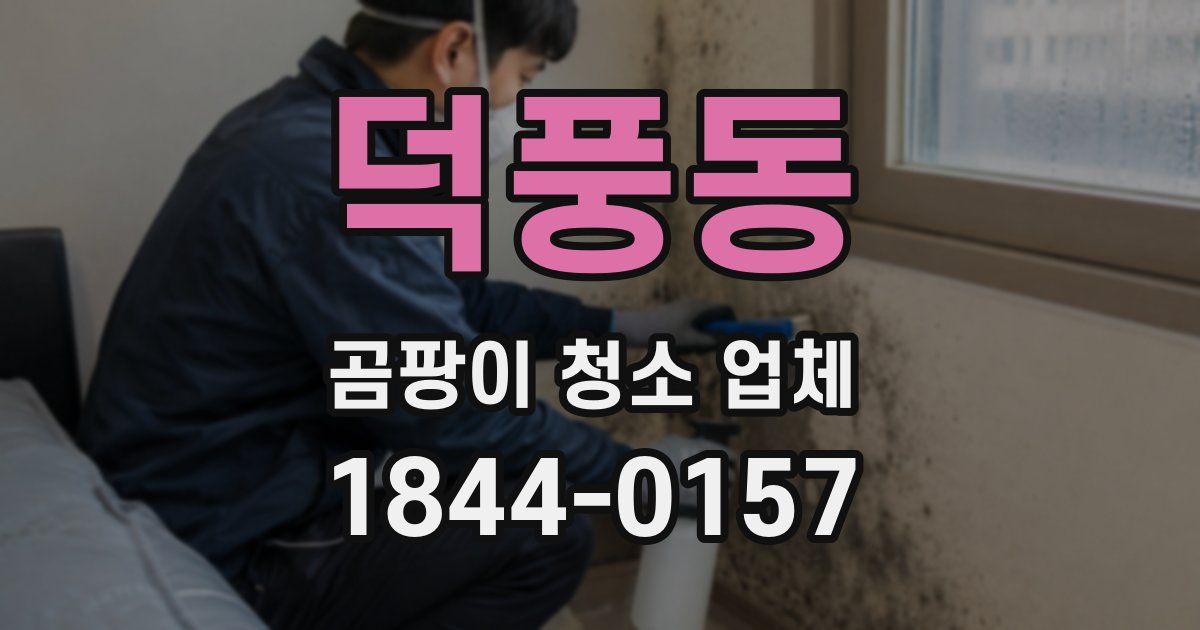 덕풍동 곰팡이 청소 업체