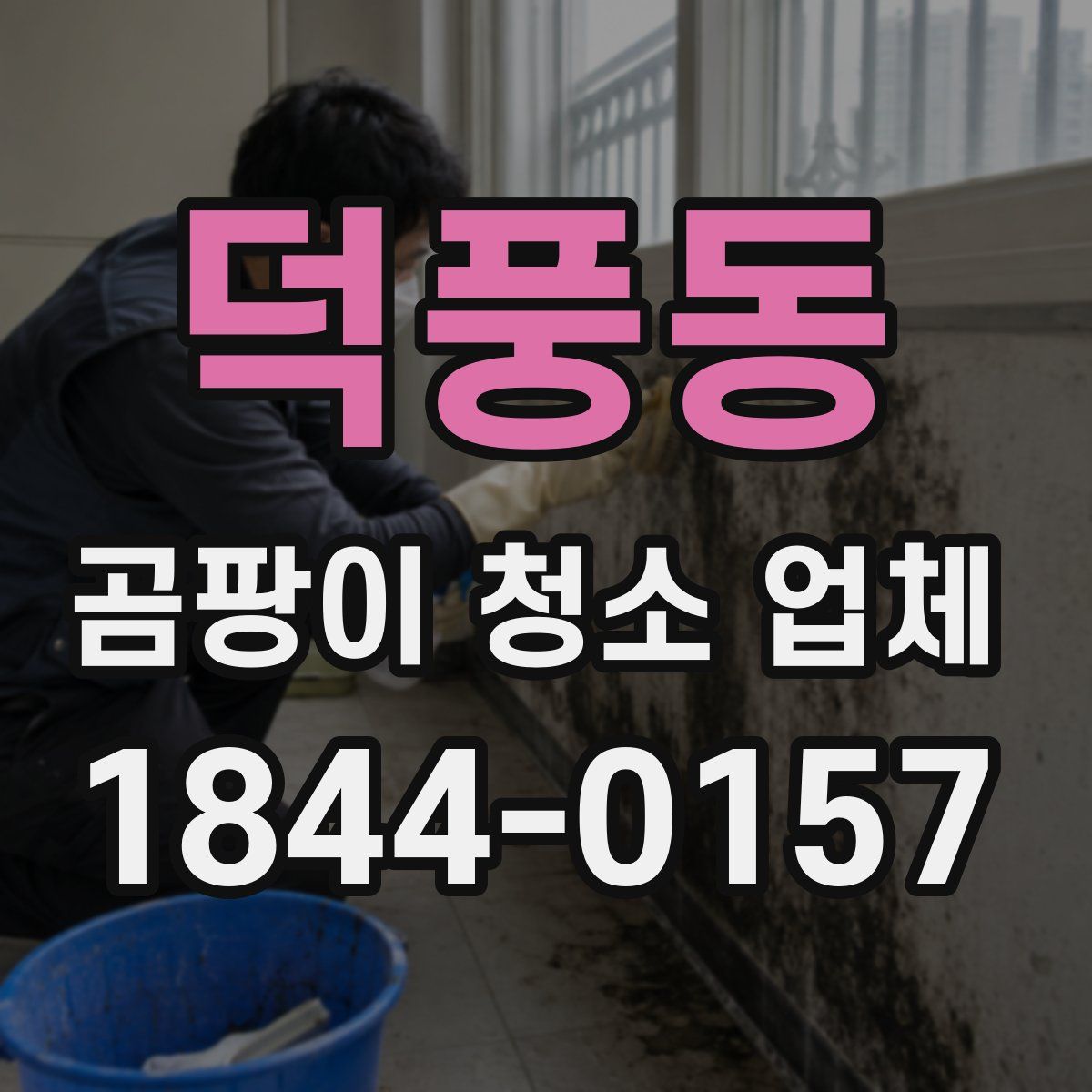 덕풍동 곰팡이 청소 업체