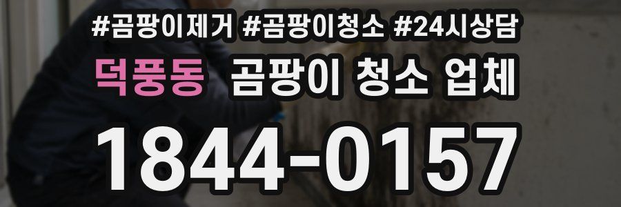 덕풍동 곰팡이 청소 업체