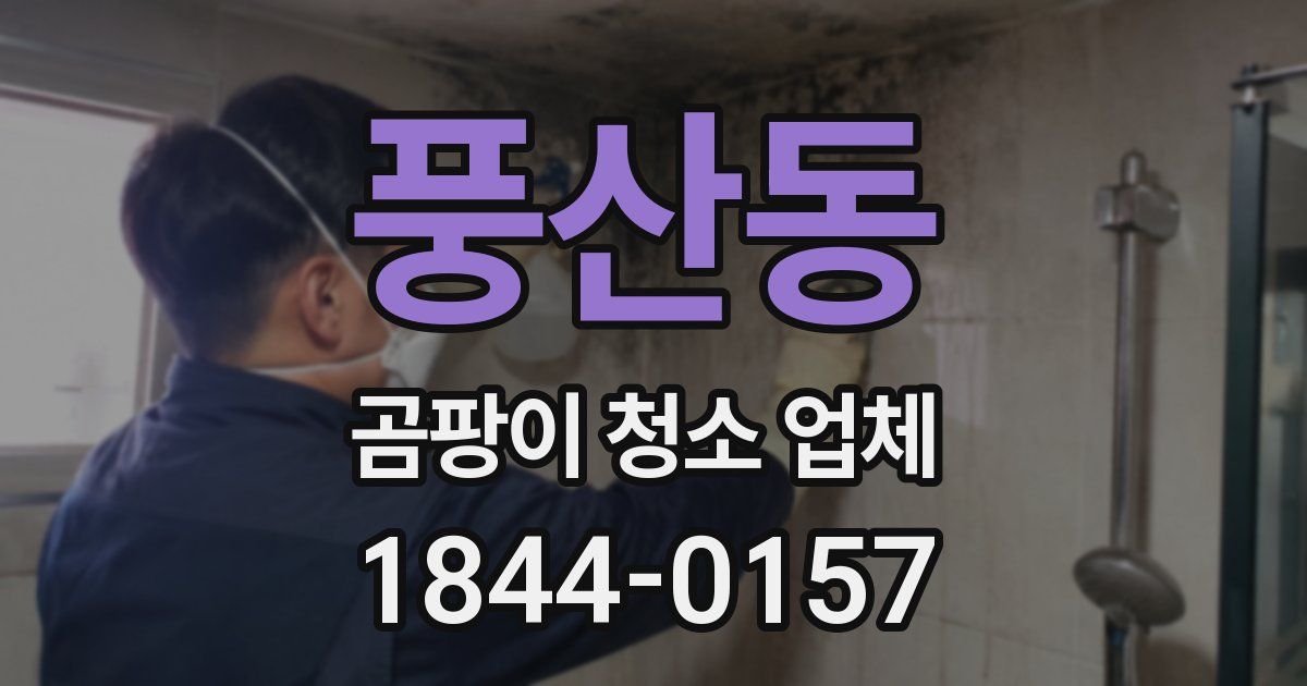 풍산동 곰팡이 청소 업체