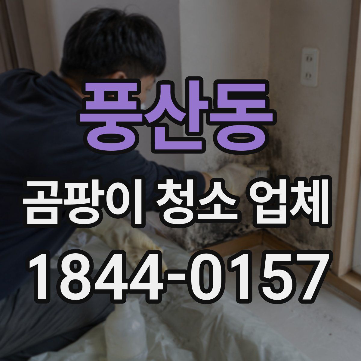 풍산동 곰팡이 청소 업체