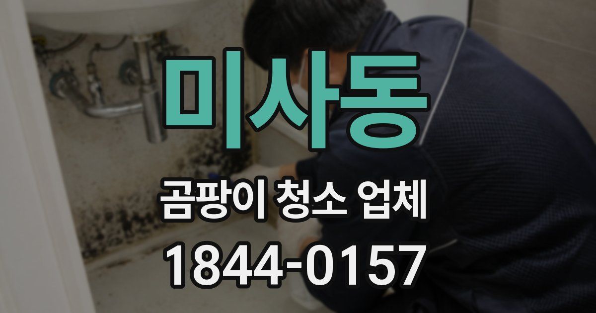 미사동 곰팡이 청소 업체