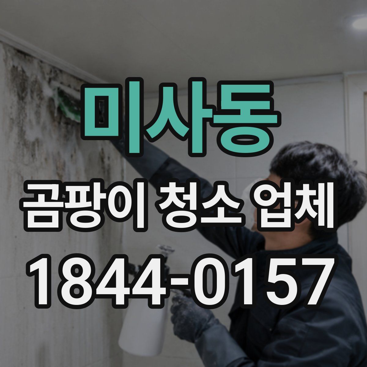 미사동 곰팡이 청소 업체