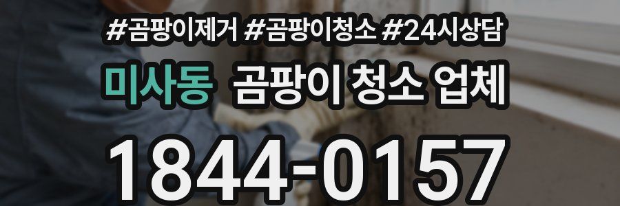 미사동 곰팡이 청소 업체