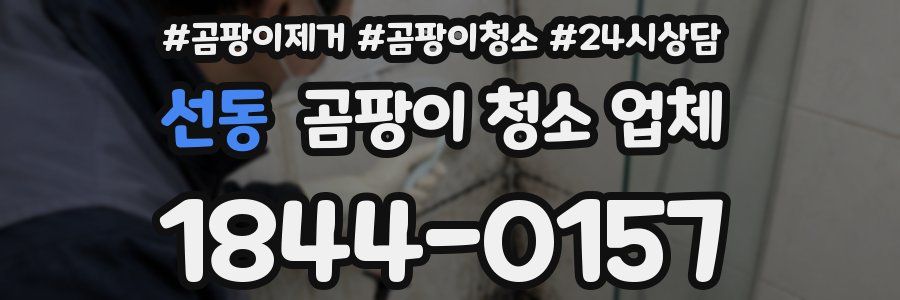 선동 곰팡이 청소 업체