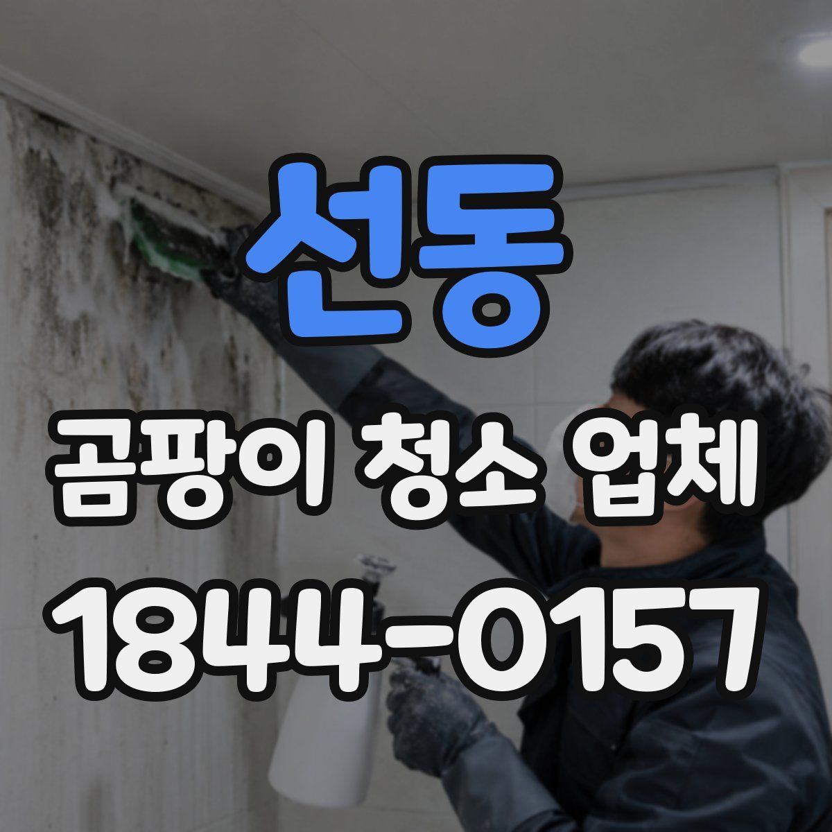 선동 곰팡이 청소 업체
