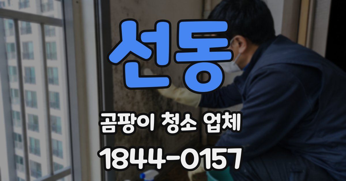 선동 곰팡이 청소 업체