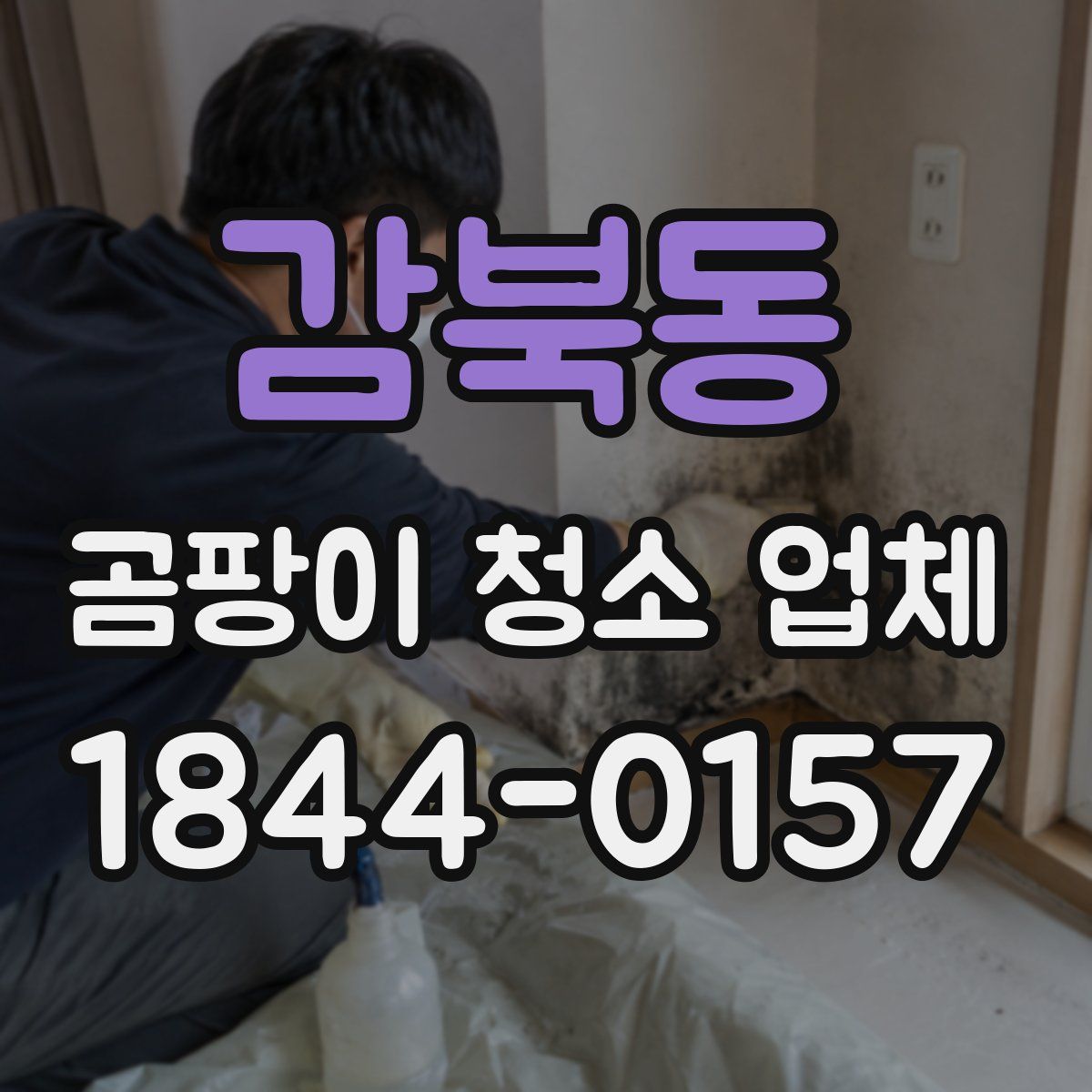 감북동 곰팡이 청소 업체
