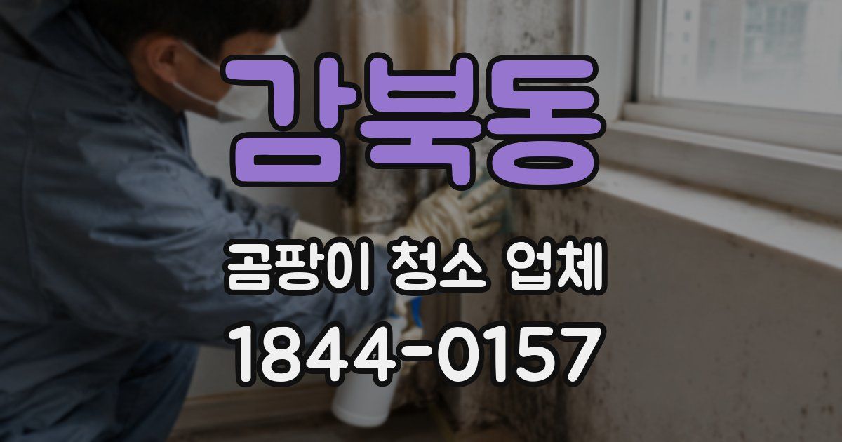 감북동 곰팡이 청소 업체