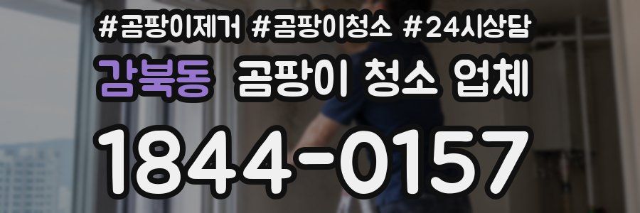 감북동 곰팡이 청소 업체