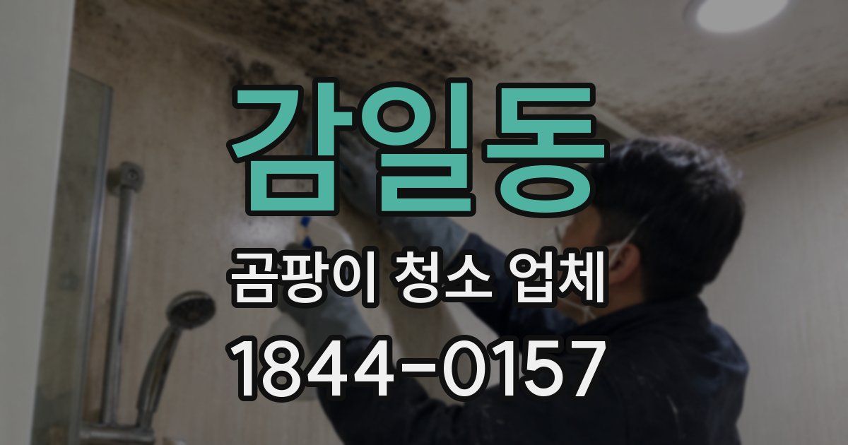 감일동 곰팡이 청소 업체