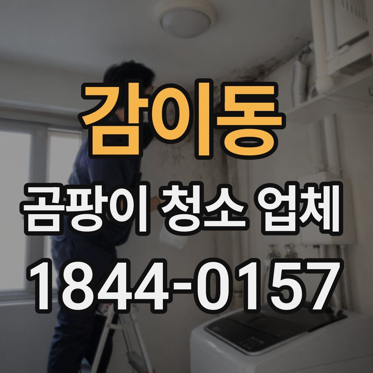 감이동 곰팡이 청소 업체