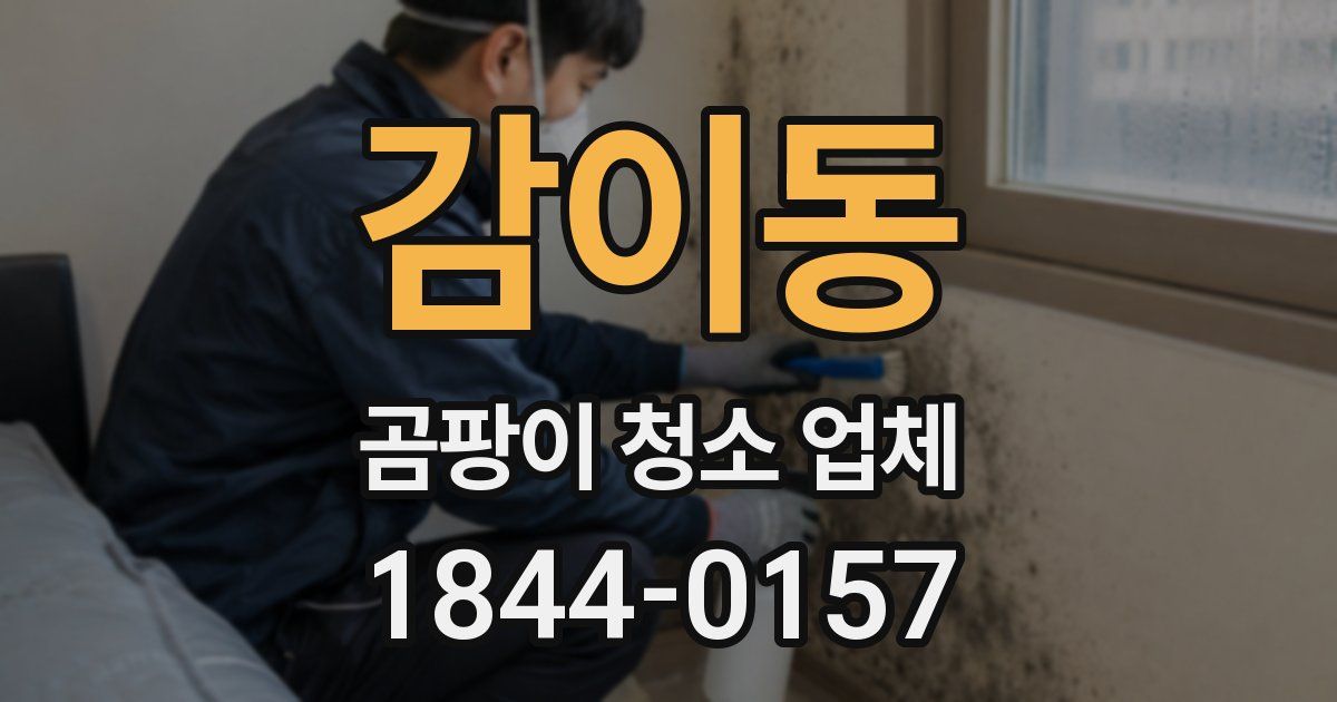 감이동 곰팡이 청소 업체