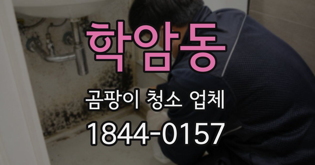 학암동 곰팡이 청소 업체