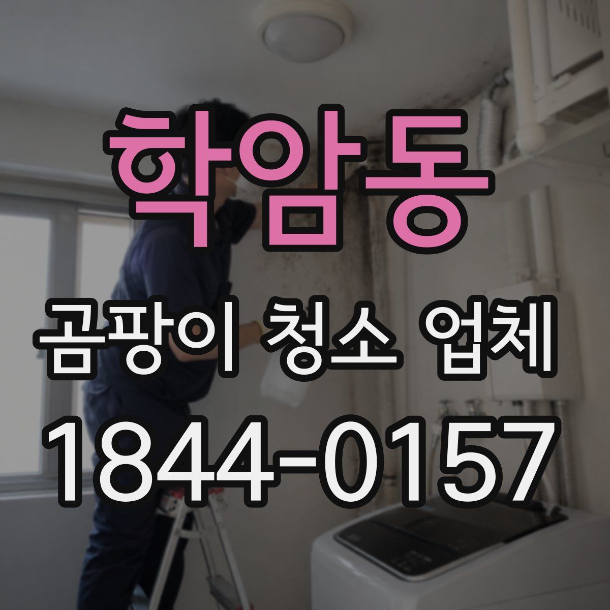 학암동 곰팡이 청소 업체