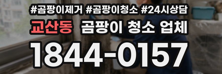 교산동 곰팡이 청소 업체