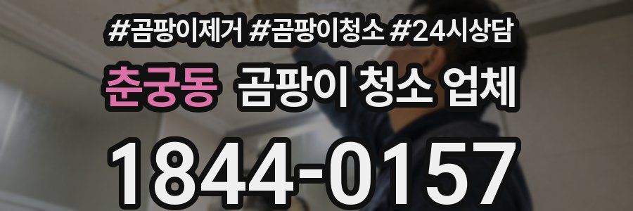 춘궁동 곰팡이 청소 업체