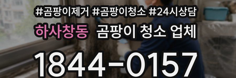 하사창동 곰팡이 청소 업체