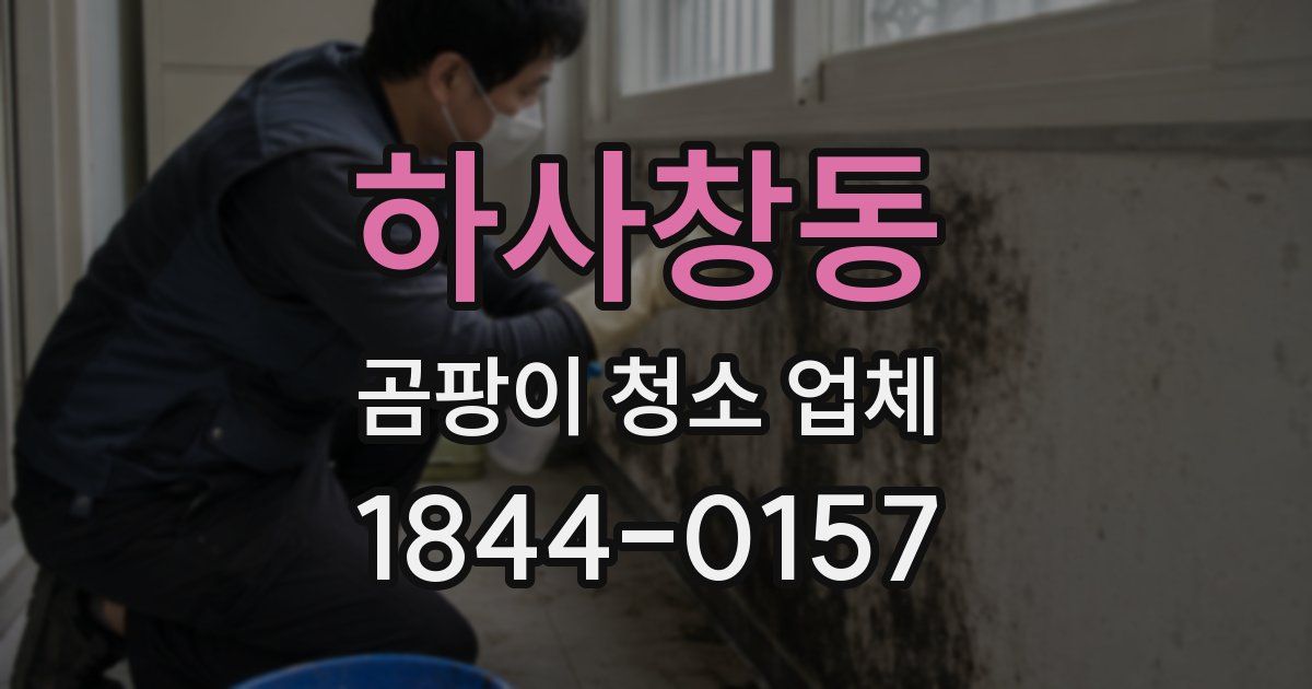 하사창동 곰팡이 청소 업체