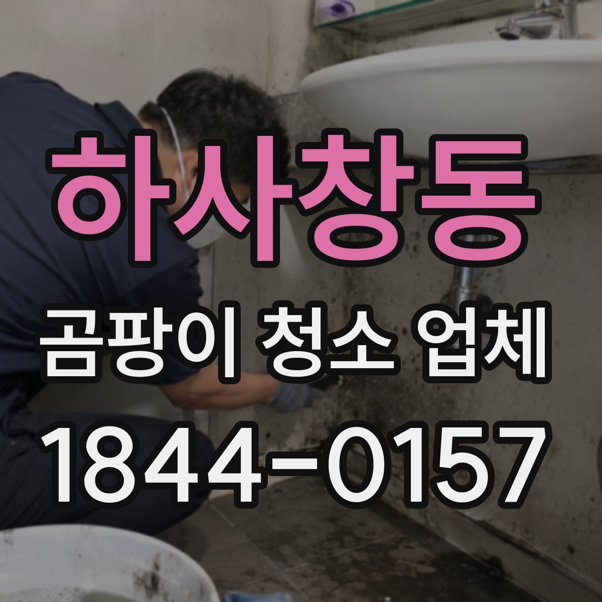 하사창동 곰팡이 청소 업체